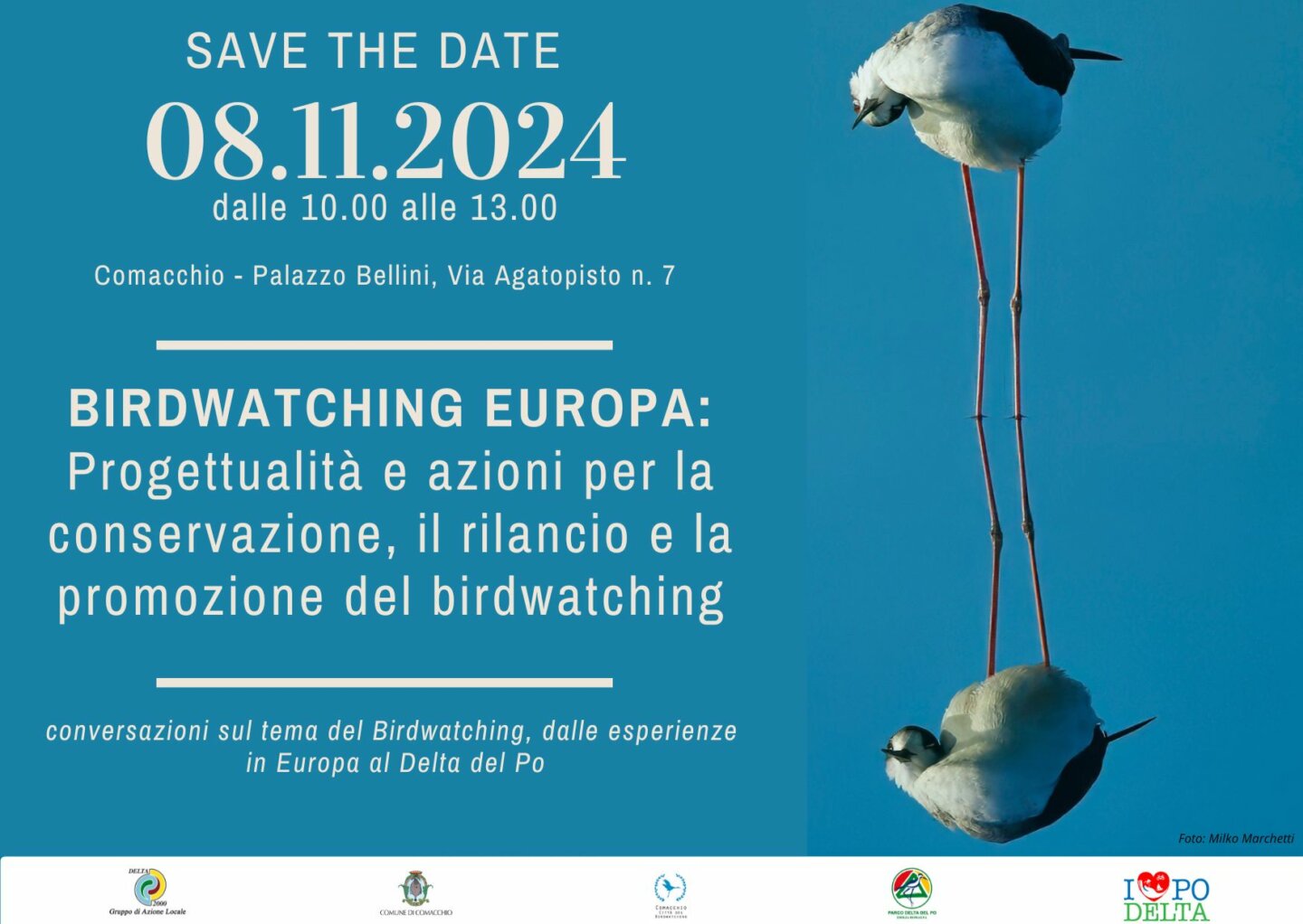 BIRDWATCHING EUROPA - COMACCHIO 8 NOVEMBRE 2024